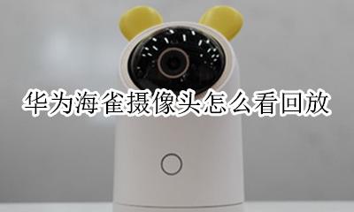 华为海雀摄像头怎么看回放 华为海雀摄像头可以回放吗