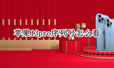 苹果13pro序列号怎么看 iphone13pro序列号怎么看产地