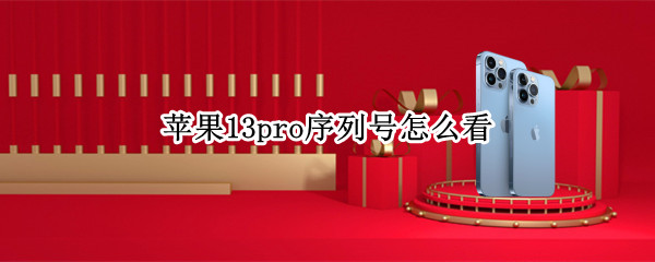 苹果13pro序列号怎么看