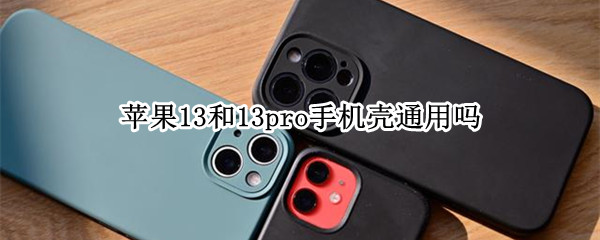苹果13和13pro手机壳通用吗