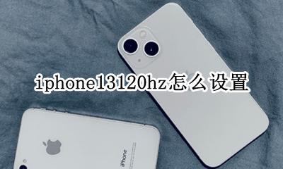 iphone13120hz怎么设置 iphone13120会出13120hz吗
