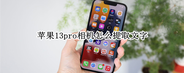 苹果13pro相机怎么提取文字