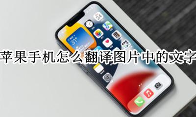 苹果图片翻译文字怎么弄 苹果手机怎么翻译图片中的文字