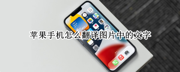 苹果手机怎么翻译图片中的文字