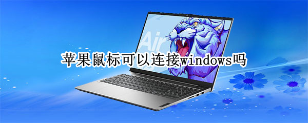 苹果鼠标可以连接windows吗
