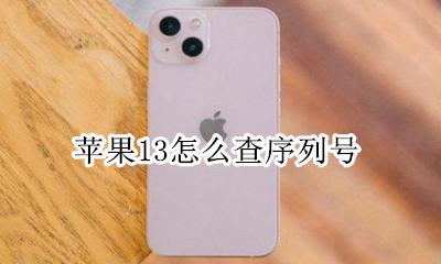 苹果13怎么查序列号 怎么查苹果13序列号