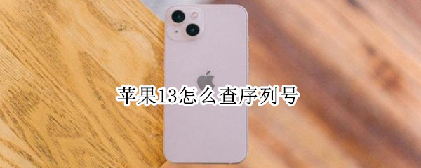 苹果13怎么查序列号