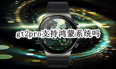 gt2能升级鸿蒙 gt2pro支持鸿蒙系统吗