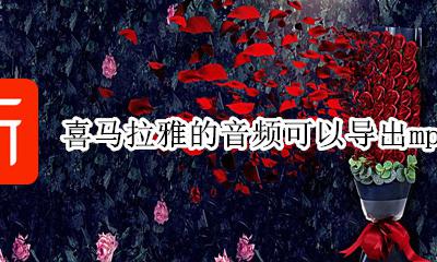 喜马拉雅的音频可以导出mp3吗 喜马拉雅下载的音频怎么导出来mp3