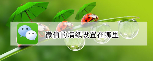 微信的墙纸设置在哪里