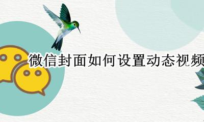 微信封面如何设置动态视频 朋友圈封面怎么设置动态视频