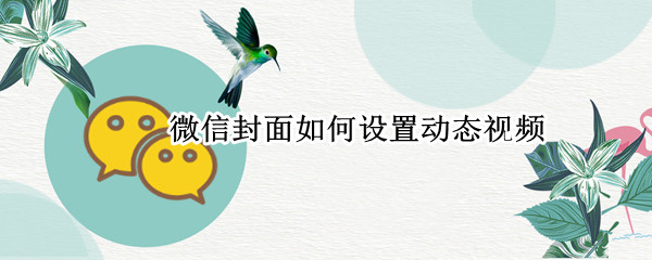 微信封面如何设置动态视频