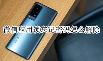 微信应用锁忘记密码怎么解除 微信应用锁忘记密码了怎么办