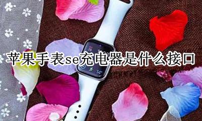 苹果se充电口啥样的 苹果手表se充电器是什么接口
