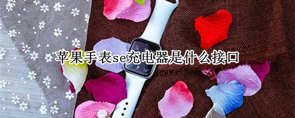 苹果手表se充电器是什么接口