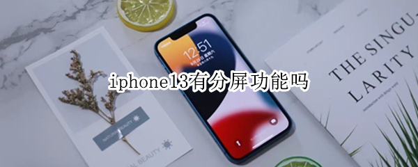 iphone13有分屏功能吗