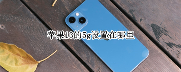 苹果13的5g设置在哪里