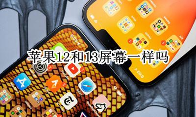 苹果12和13屏幕一样吗 苹果12和12屏幕一样吗