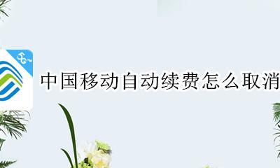 中国移动自动续费怎么取消吗 中国移动会员自动续费怎么取消