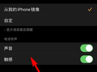 苹果手表能修改铃声吗