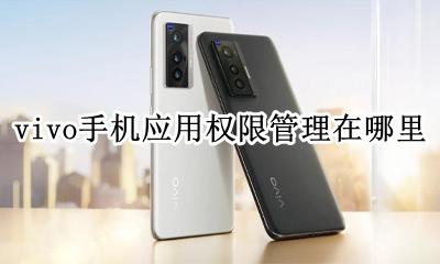 vivo应用设置权限管理在哪 vivo手机应用权限管理在哪里