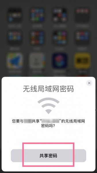 ipad怎么查看wifi密码