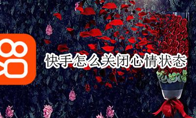 快手怎么关闭心情状态 快手怎么关闭自己在线状态