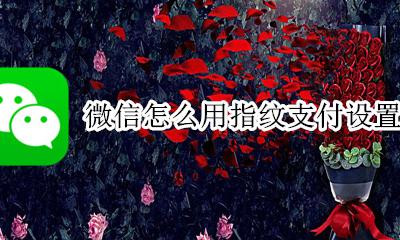 怎样设置微信指纹支付 微信怎么用指纹支付设置
