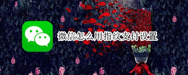 微信怎么用指纹支付设置