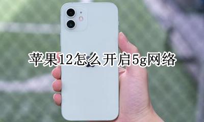 苹果12怎么开启5g网络 苹果12设置12g网络怎么打开