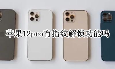 苹果12pro有指纹解锁功能吗 iphone 12pro支持指纹解锁吗