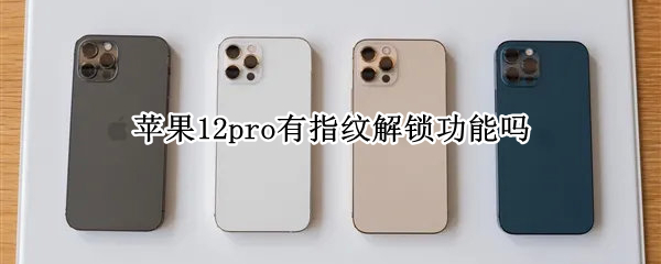 苹果12pro有指纹解锁功能吗