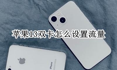 苹果13双卡怎么设置流量 苹果13如何设置双卡流量