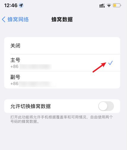 苹果13双卡怎么设置流量