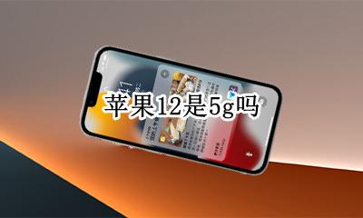 苹果12是5g吗 苹果12都是12g吗