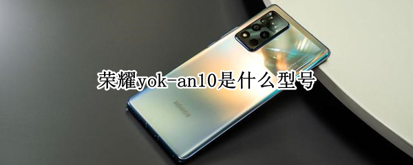 荣耀yok-an10是什么型号