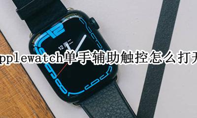 applewatch触控调节有什么作用 applewatch单手辅助触控怎么打开