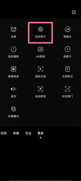 vivo动态照片怎么拍摄