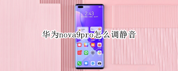 华为nova9pro怎么调静音
