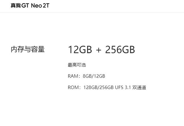 真我gtneo2t内存多大