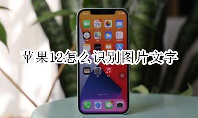 苹果12怎么识别图片文字 iphone识别图片文字
