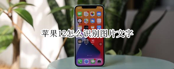 苹果12怎么识别图片文字