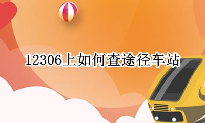 铁路12306怎么查票 12306上如何查途径车站