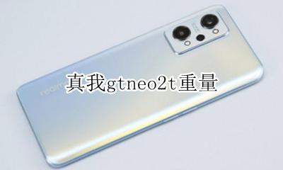 真我gtneo2t重量 多重