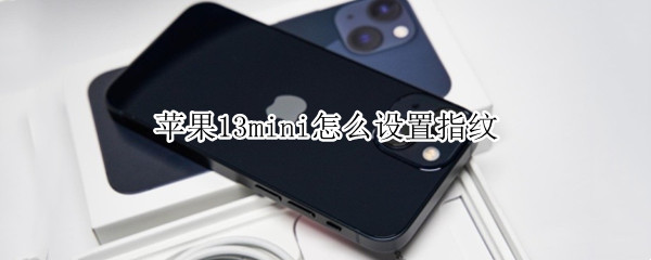 苹果13mini怎么设置指纹