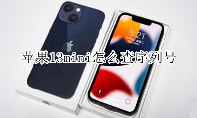 apple型号查询 苹果13mini怎么查序列号
