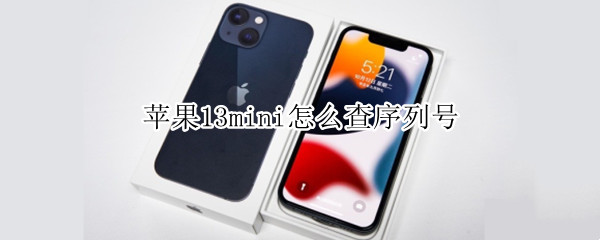 苹果13mini怎么查序列号