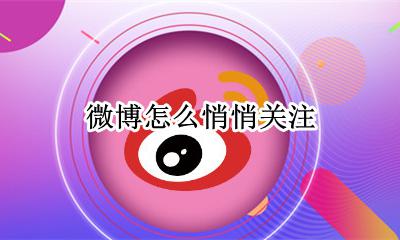 微博怎么悄悄关注 悄悄关注在哪里设置