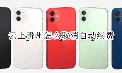 云上贵州怎么取消自动续费 苹果手机如何关闭云上贵州自动续费