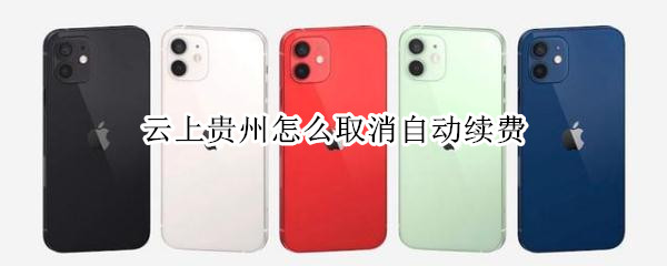 云上贵州怎么取消自动续费
